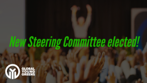 New Steering Committee elected!